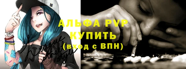 прущие грибы Снежногорск