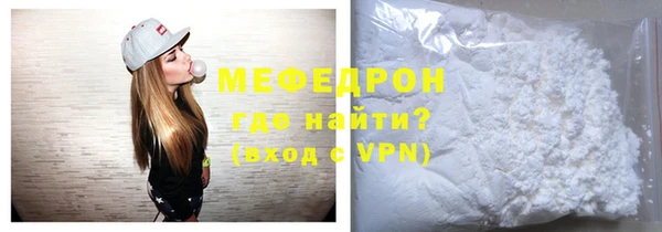 индика Долгопрудный