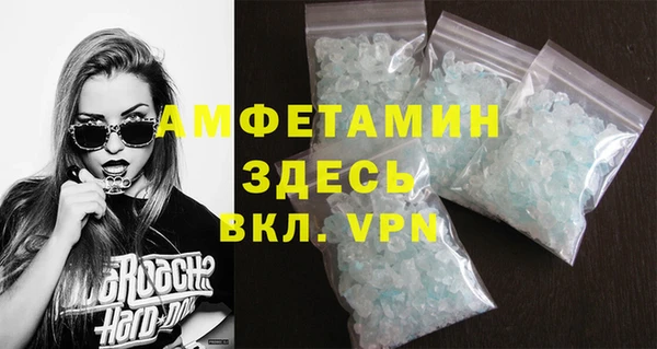 прущие грибы Снежногорск